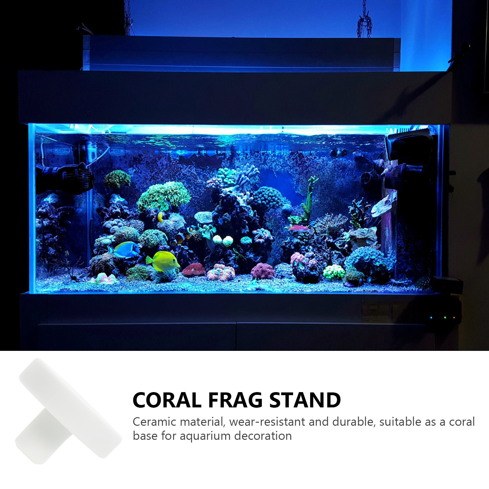 Coral Frag Plug - 10Pcs Coral Frag Base Ceramic Plugs