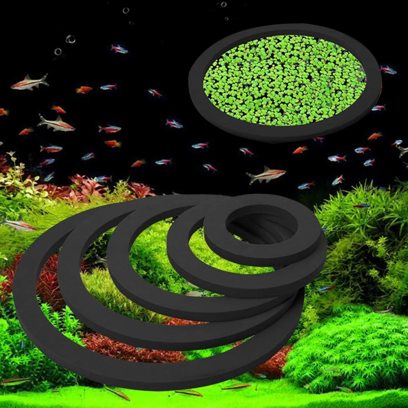 Marine Aquarium Hobby - 5Pcs Aquarium Floating Plant Rings Fish