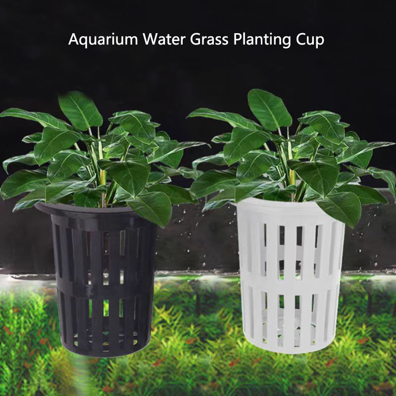 Marine Aquarium Hobby - 1/3Pcs Aquarium Plant Basket Wall-Mounted Hydroponic