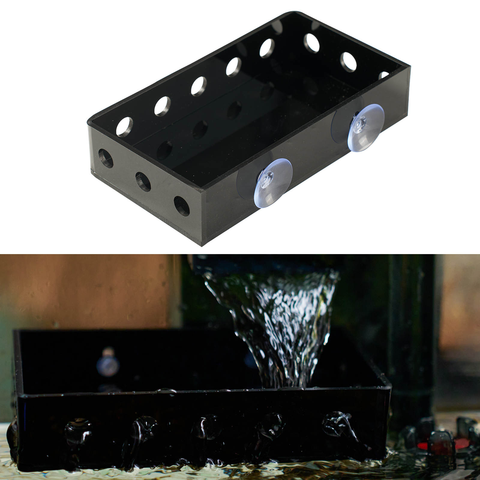 Marine Aquarium Hobby - Aquarium Filter Baffle with , Fish