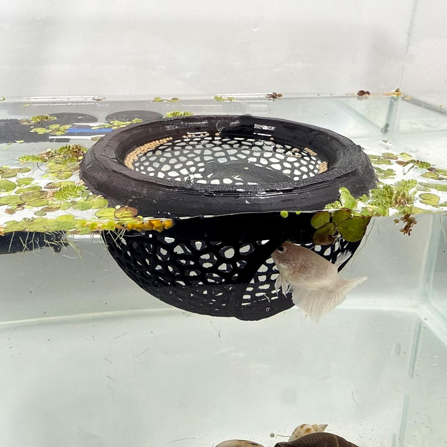 Marine Aquarium Hobby - Aquarium Floating Cave Fish Shrimp Hideout