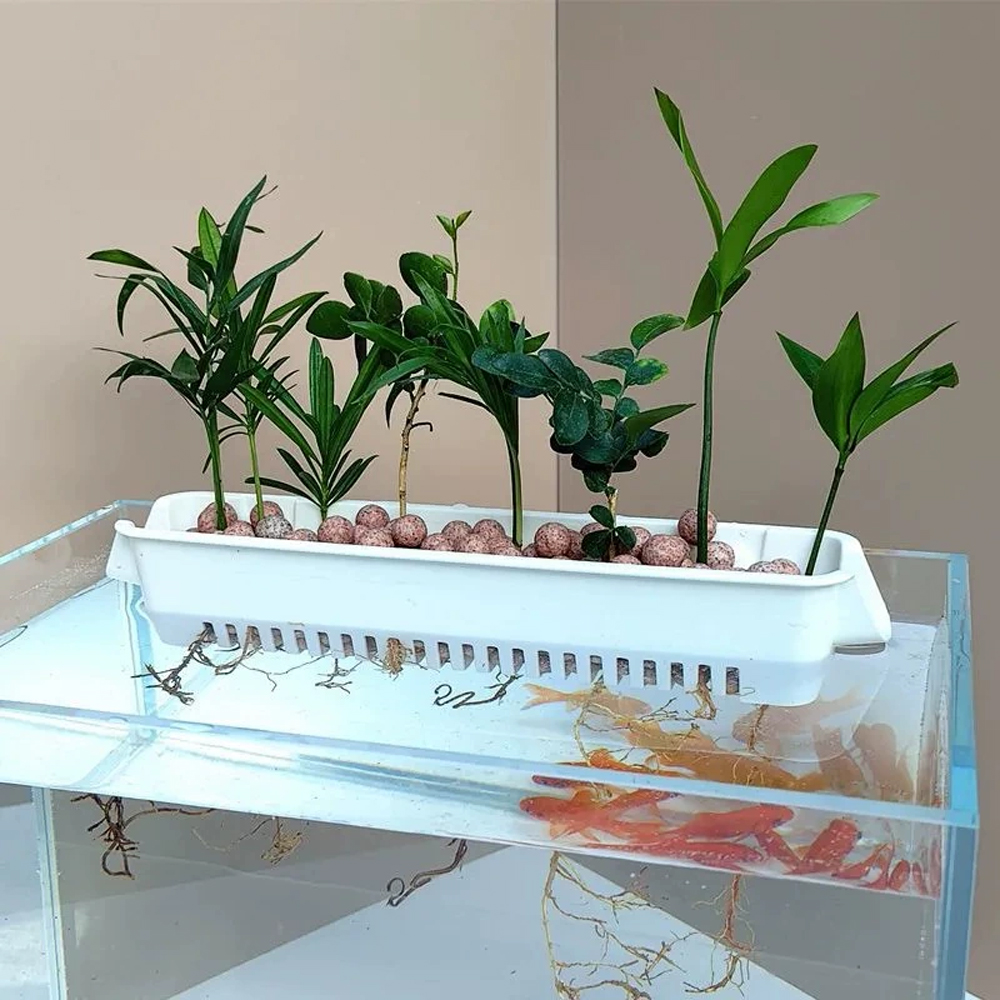 Marine Aquarium Hobby - 1 Pc Aquarium Hydroponic Planters Wall-Mounted
