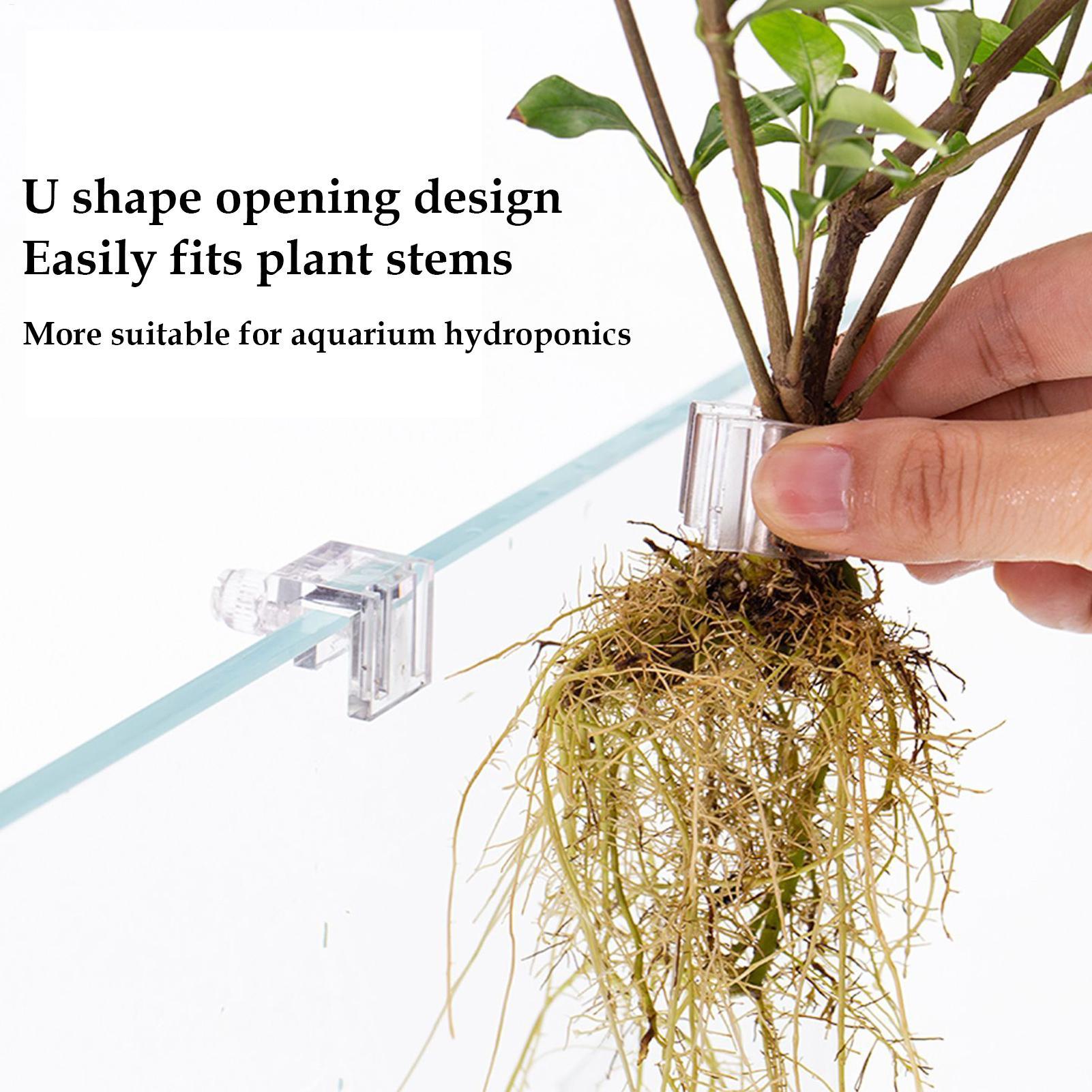 Marine Aquarium Hobby - 6Pcs Aquarium Plant Holder Support Cup