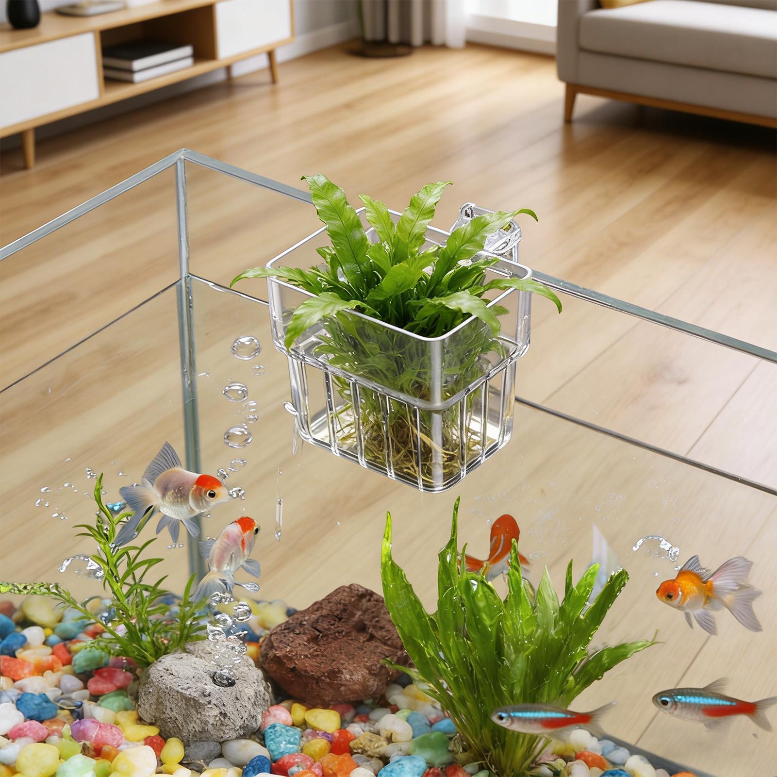Plant Holder Aquarium Transpar - Marine Aquarium Hobby recensie en prijs