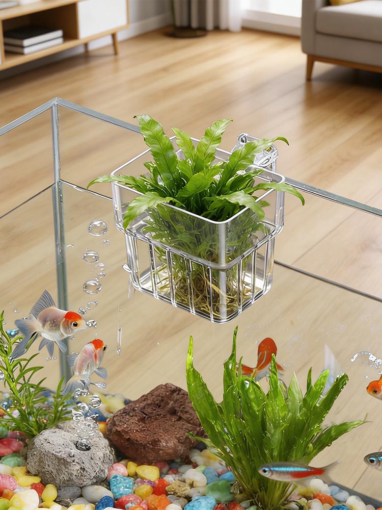 Aquarium Plant Holder Transpar - Marine Aquarium Hobby recensie en prijs