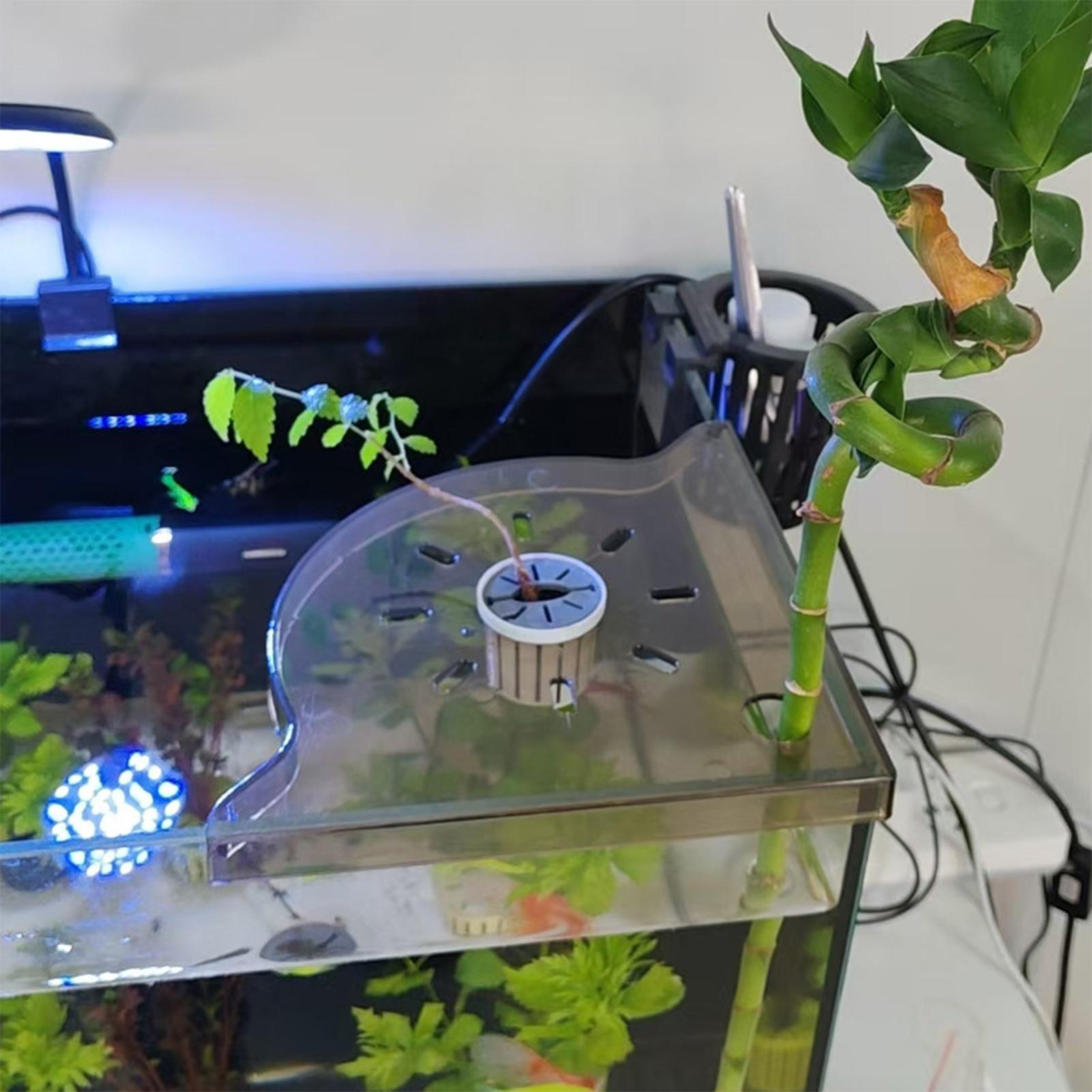 A8SE/A8PRO 2.0 Generation 240W - Marine Aquarium App recensie en prijs