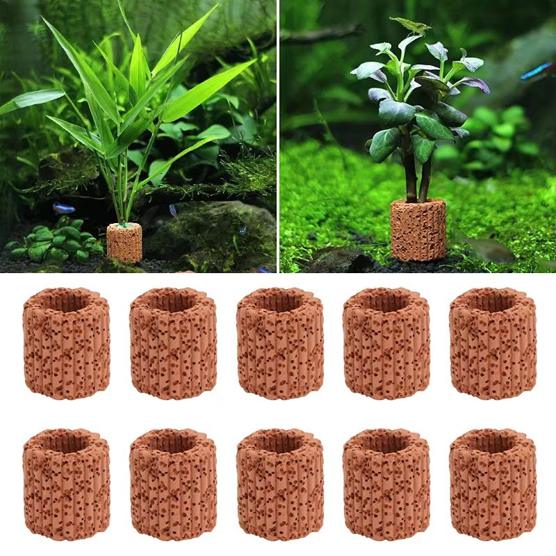 Aquatic Plant Fixed Ring for A - Marine Aquarium Hobby recensie en prijs