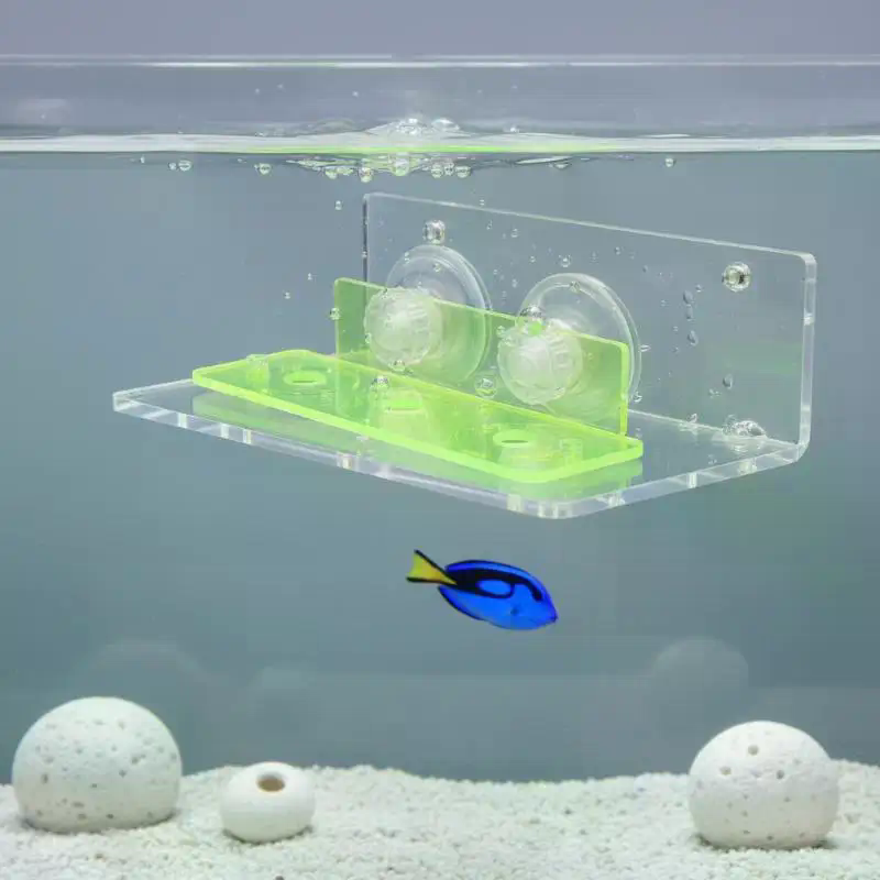 1Pcs Coral Rack Marine Reef St - Coral Frag Plug recensie en prijs