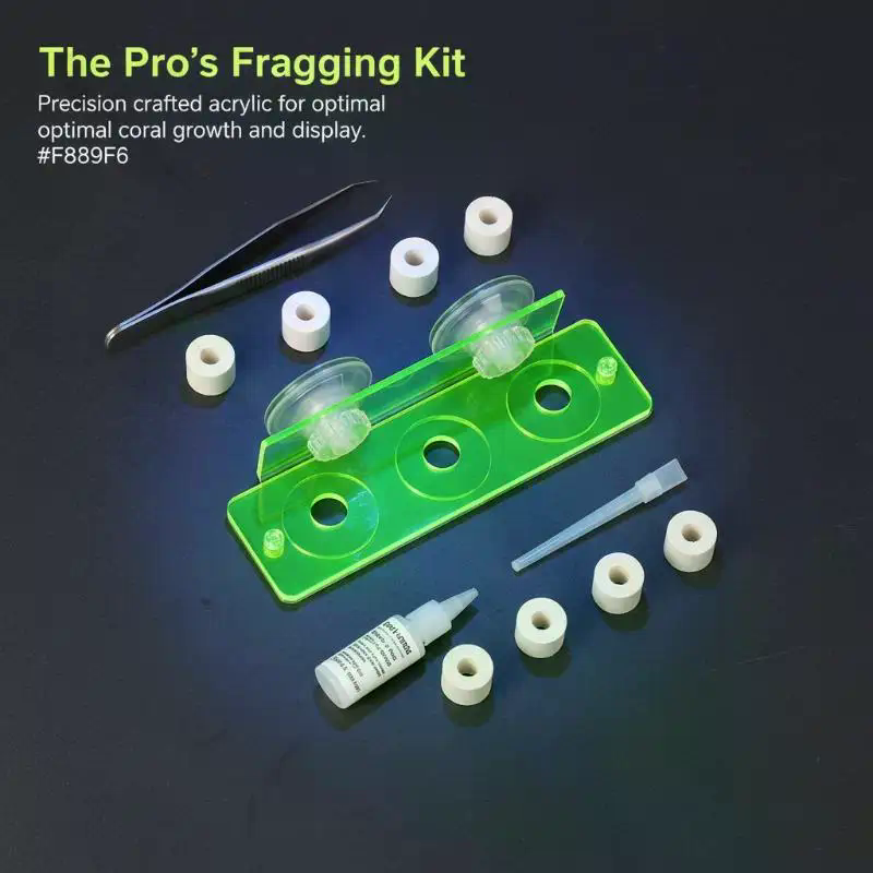 1Pcs Coral Rack Marine Reef St - Coral Frag Plug recensie en prijs