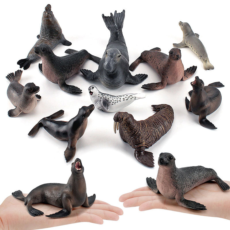 Simulation Ocean Animal Seals  - Marine Life Aquariums recensie en prijs