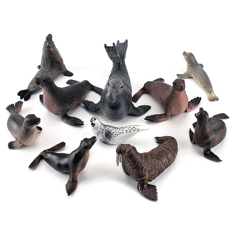 Simulation Ocean Animal Seals  - Marine Life Aquariums recensie en prijs