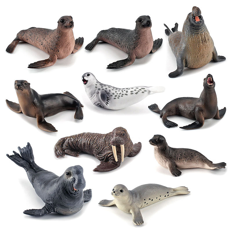 Simulation Ocean Animal Seals  - Marine Life Aquariums recensie en prijs