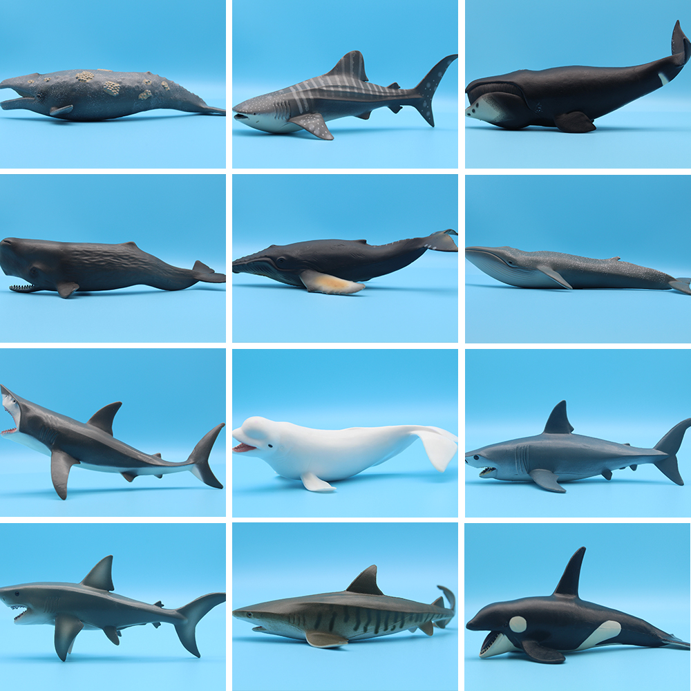 Ocean Sea Life Simulation Kill - Marine Life Aquariums recensie en prijs