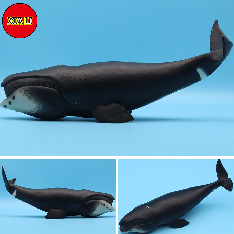 Ocean Sea Life Simulation Kill - Marine Life Aquariums recensie en prijs