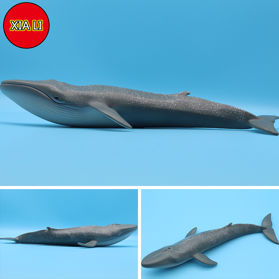 Ocean Sea Life Simulation Kill - Marine Life Aquariums recensie en prijs