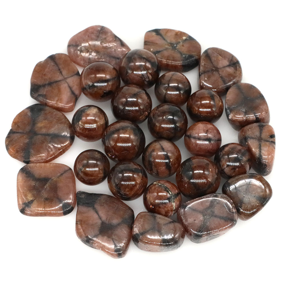 Natural Cross Chiastolite Quar - Aquarium Marine Stone recensie en prijs