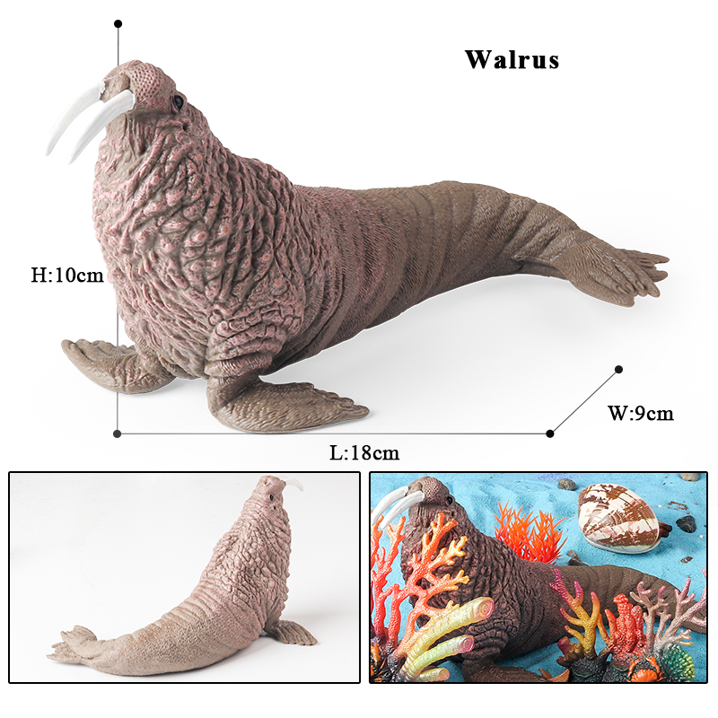 Oenux New Sea Life Seal Sea li - Marine Life Aquariums recensie en prijs
