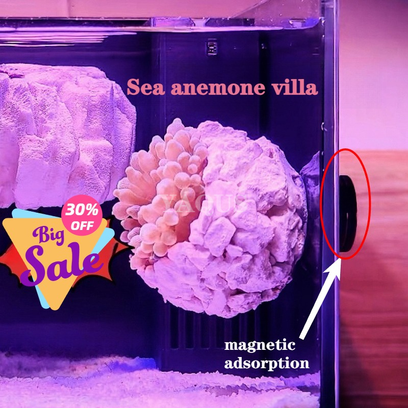 New DIY Handmade Floating Magn - Coral Frag Plug recensie en prijs