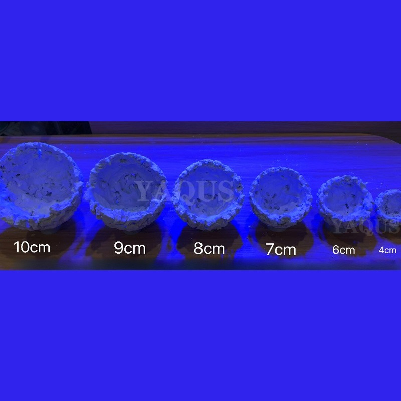 New DIY Handmade Floating Magn - Coral Frag Plug recensie en prijs
