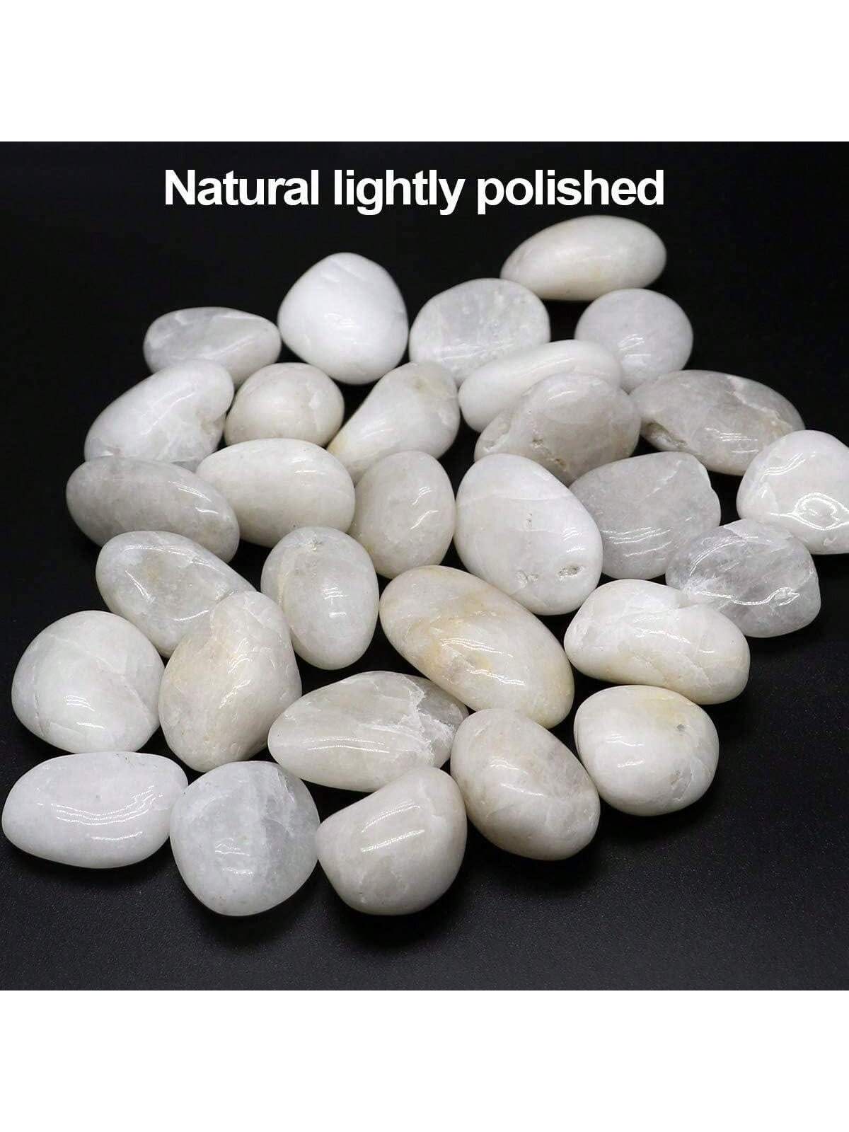 River Rocks Decorative Ornamen - Aquarium Marine Stone recensie en prijs