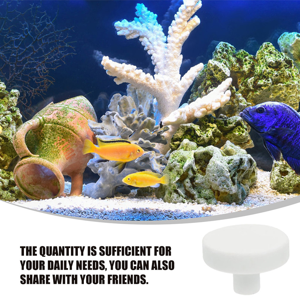 30Pcs Coral Frag Plugs Ceramic - Coral Frag Plug recensie en prijs