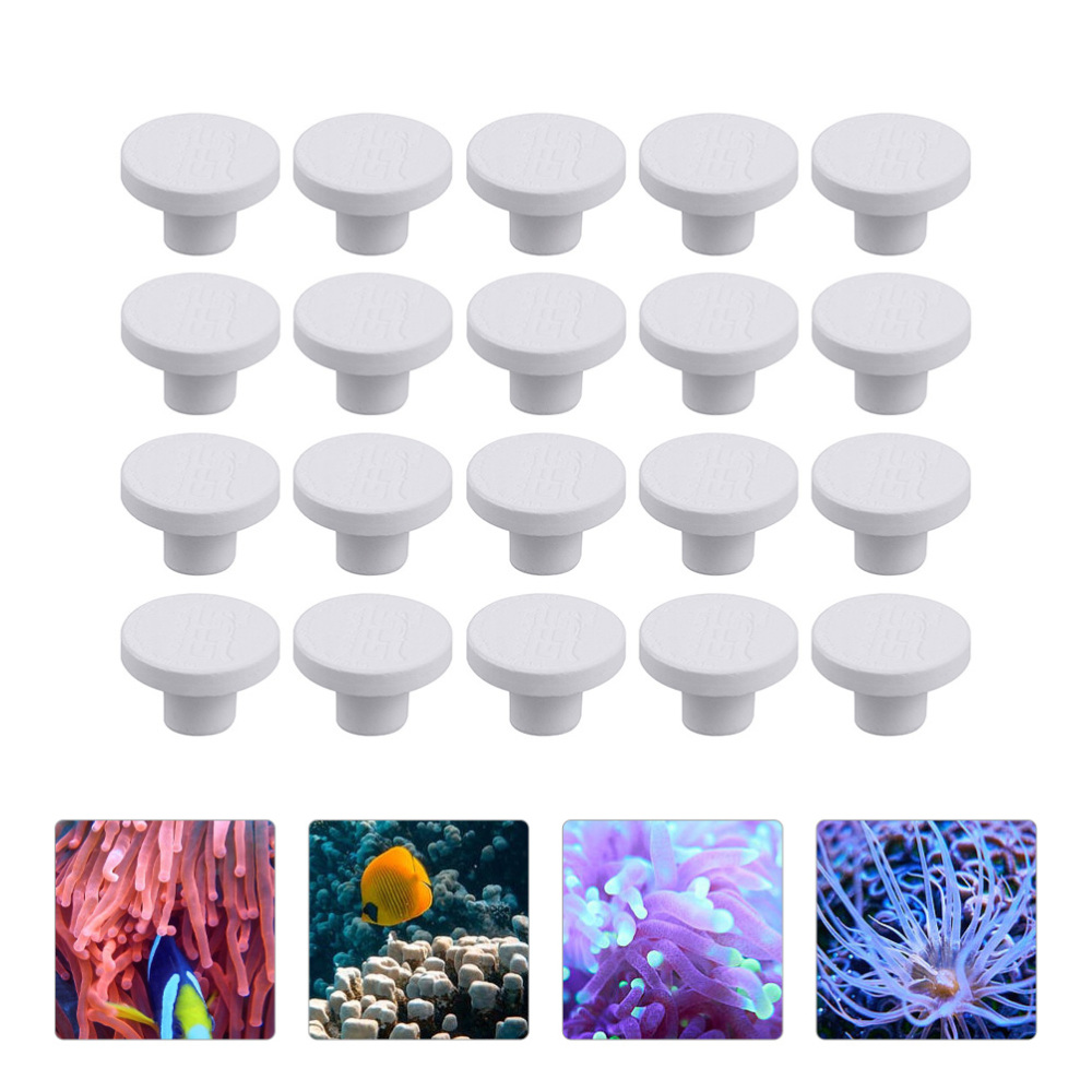 SPS Ceramic Coral Frag Plugs B - Coral Frag Plug recensie en prijs