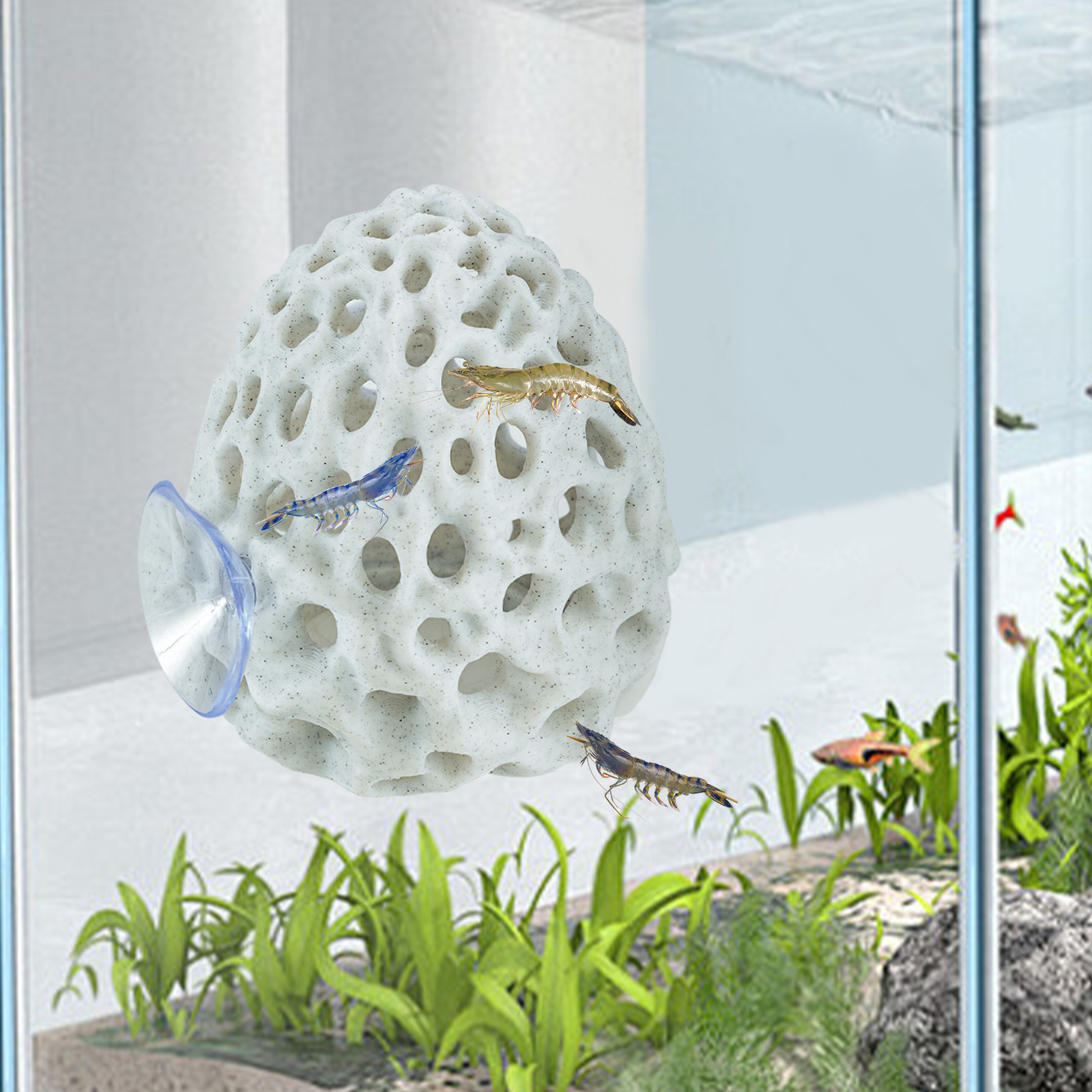 Shrimp Hides for Aquarium, Bet - Marine Aquarium Hobby recensie en prijs
