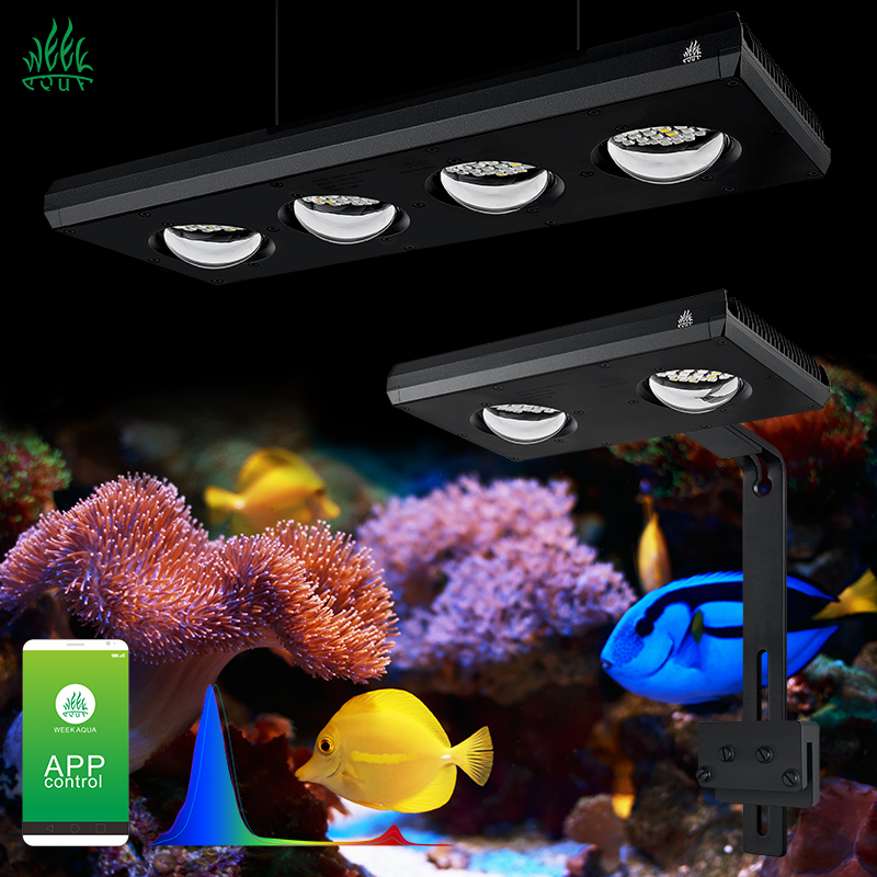 ZXY Hot Sale WEEKAQUA Z250 Z40 - Marine Aquarium App recensie en prijs