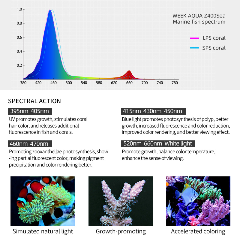 ZXY Hot Sale WEEKAQUA Z250 Z40 - Marine Aquarium App recensie en prijs
