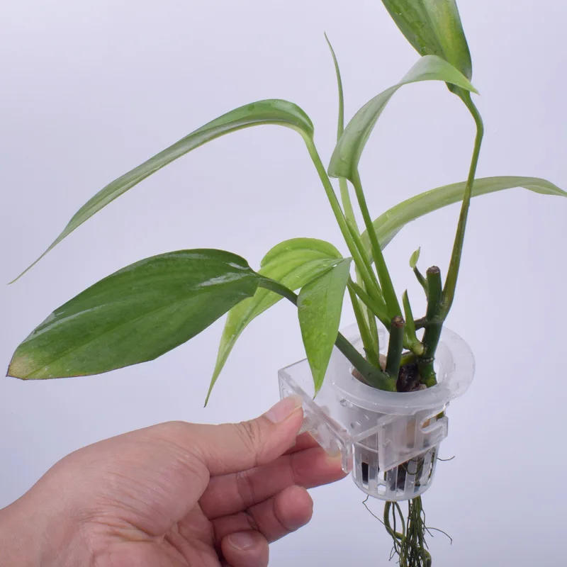 Aquatic Plant Hanging Holder A - Marine Aquarium Hobby recensie en prijs
