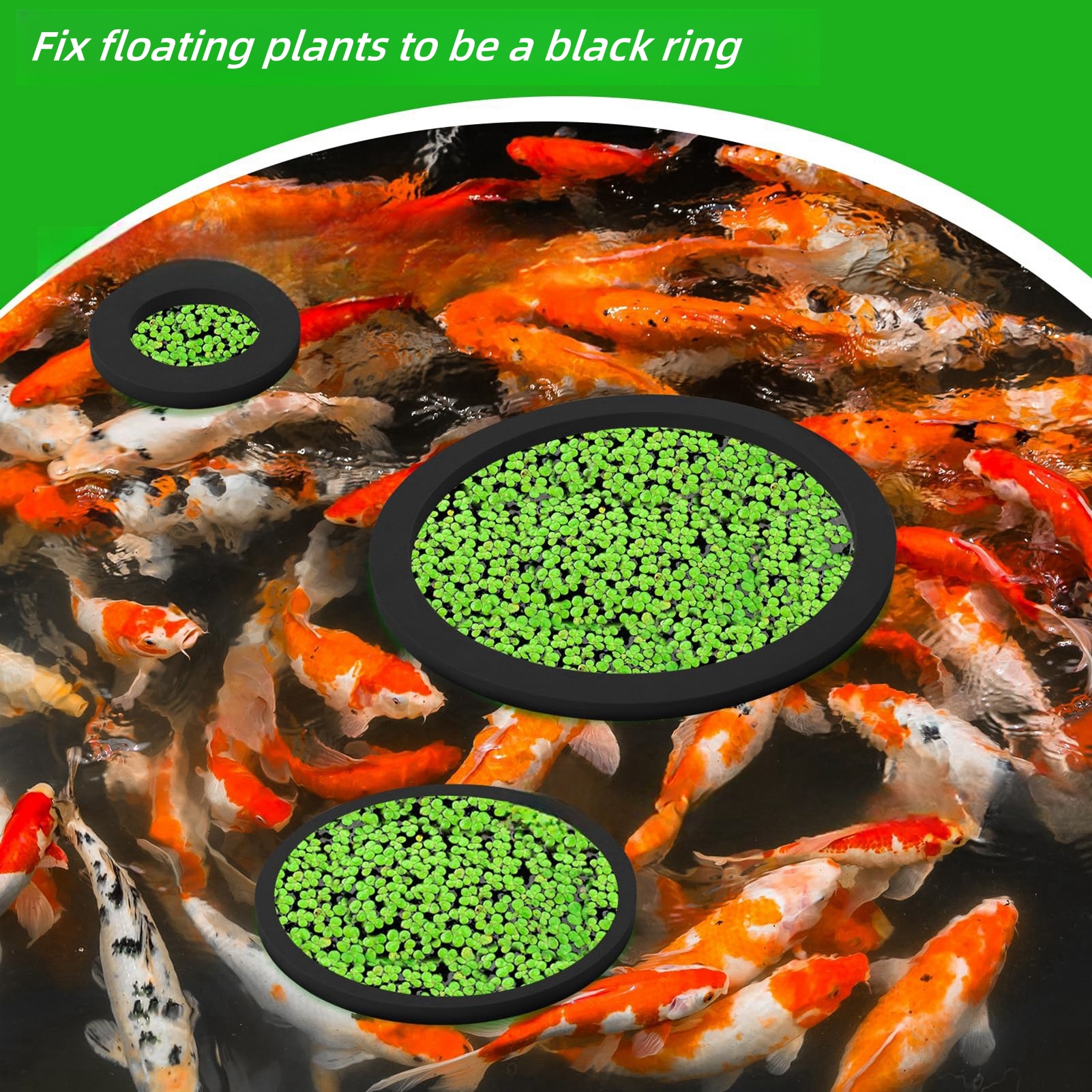 5Pcs Aquarium Floating Plant R - Marine Aquarium Hobby recensie en prijs