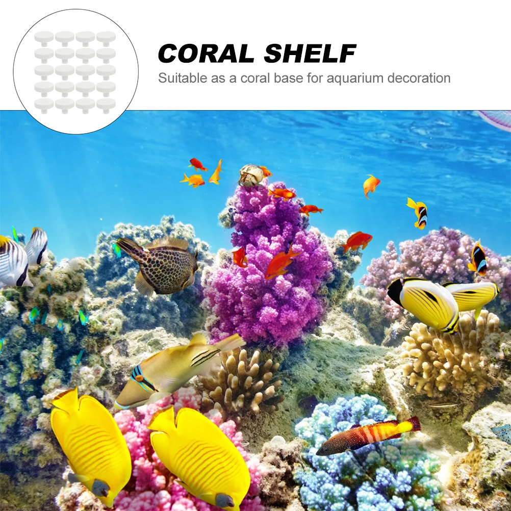 20Pcs Coral Glue Reef Safe Cor - Coral Frag Plug recensie en prijs