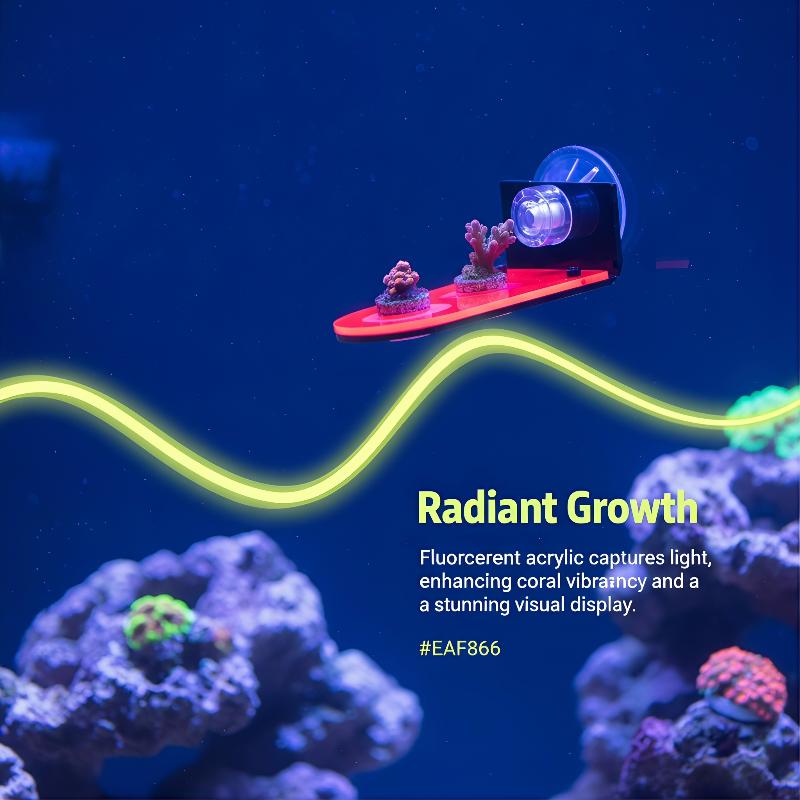 Acrylic Coral Frag Bracket 1Pc - Coral Frag Plug recensie en prijs