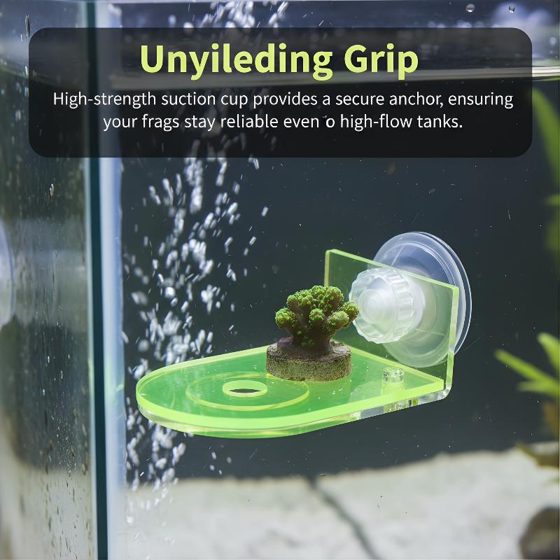 Acrylic Coral Frag Bracket 1Pc - Coral Frag Plug recensie en prijs