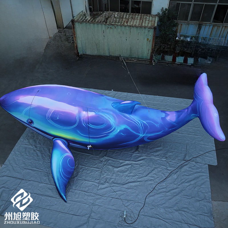 Inflatable blue whale, used as - Marine Life Aquariums recensie en prijs