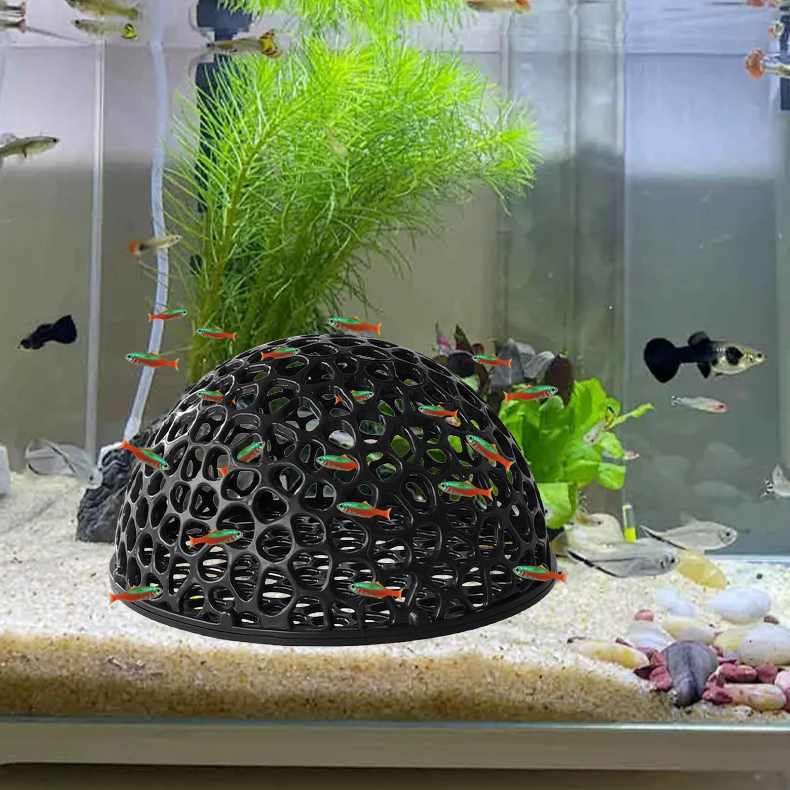 Shrimp Breeding Cave fish tank - Marine Aquarium Hobby recensie en prijs