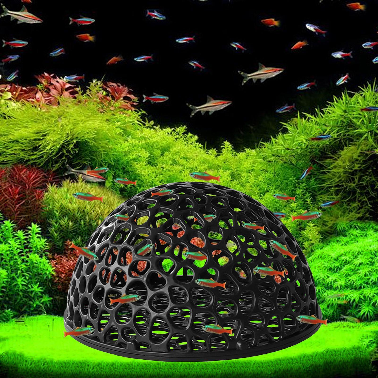 Shrimp Breeding Cave fish tank - Marine Aquarium Hobby recensie en prijs