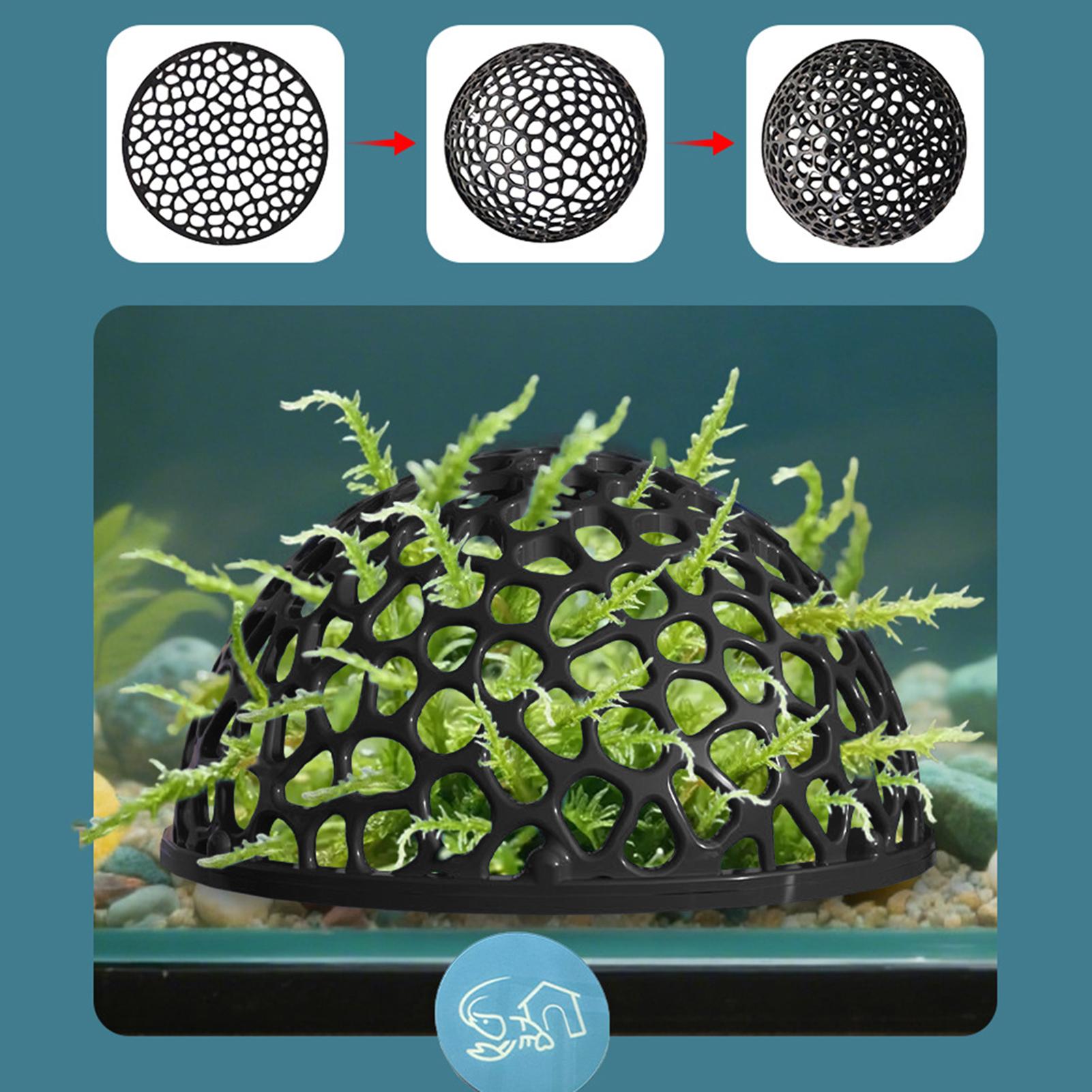 Shrimp Breeding Cave fish tank - Marine Aquarium Hobby recensie en prijs