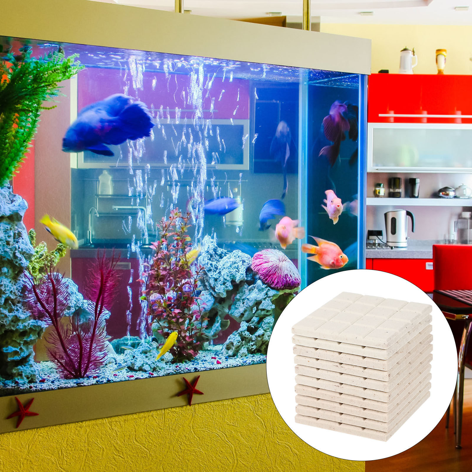 10Pcs Aquarium Coral Holder Ce - Coral Frag Plug recensie en prijs