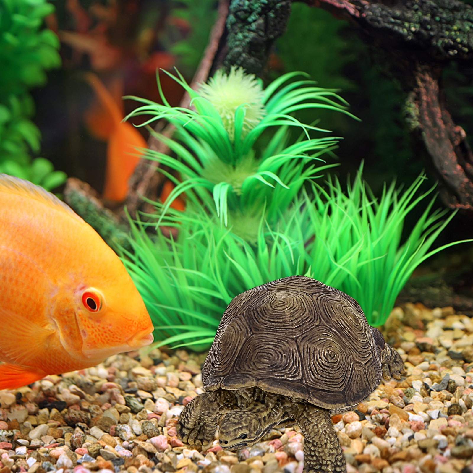 2Pcs Simulation Tortoise Plast - Marine Life Aquariums recensie en prijs