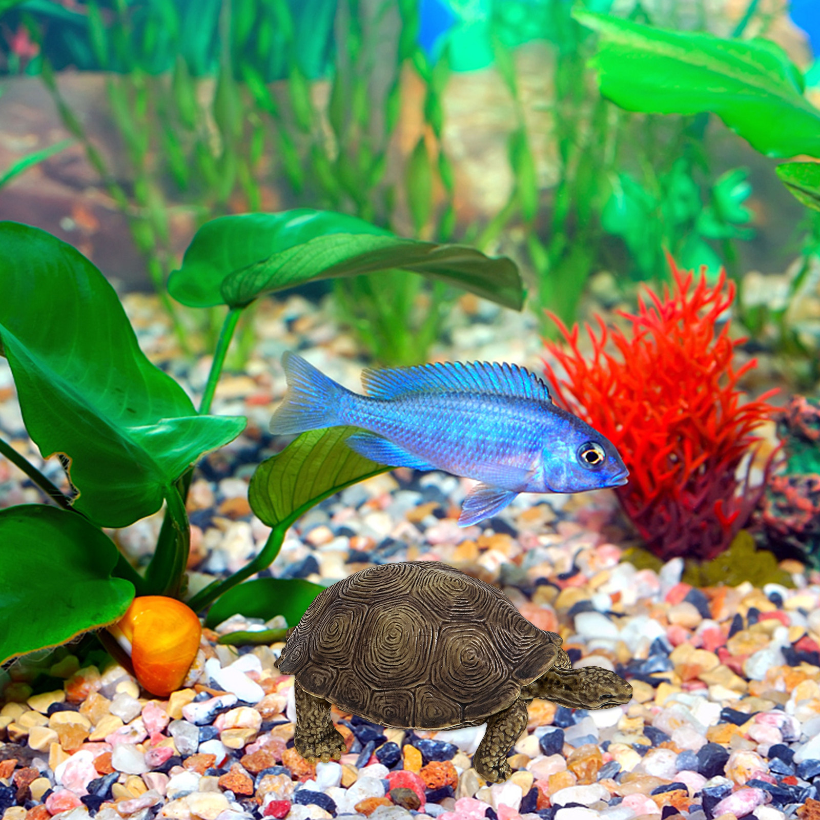 2Pcs Simulation Tortoise Plast - Marine Life Aquariums recensie en prijs