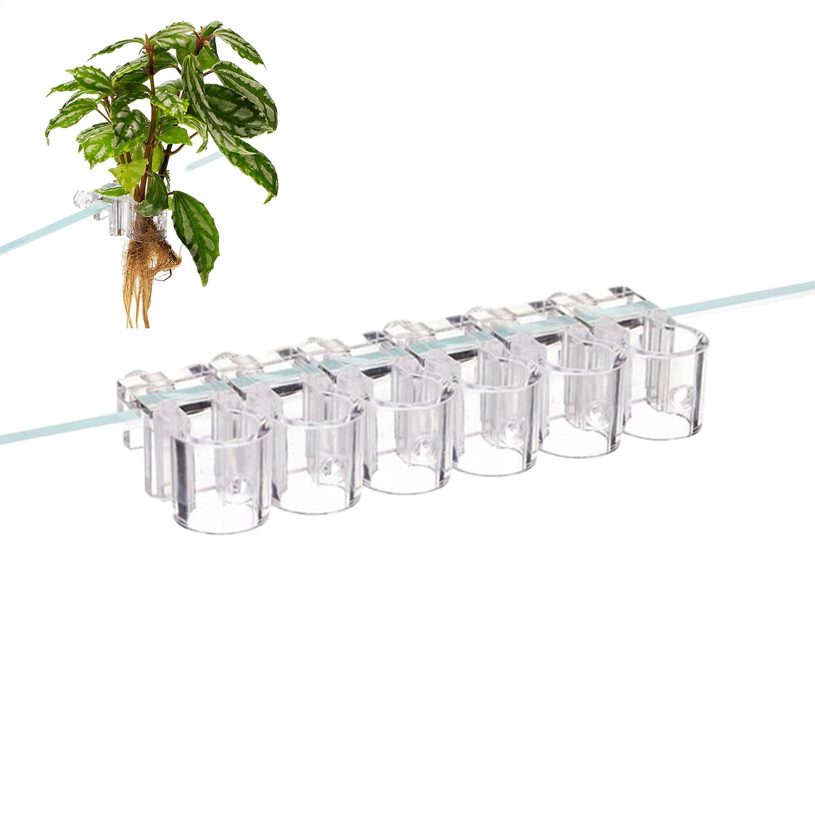 Aquarium Plant Holder 6 Pieces - Marine Aquarium Hobby recensie en prijs