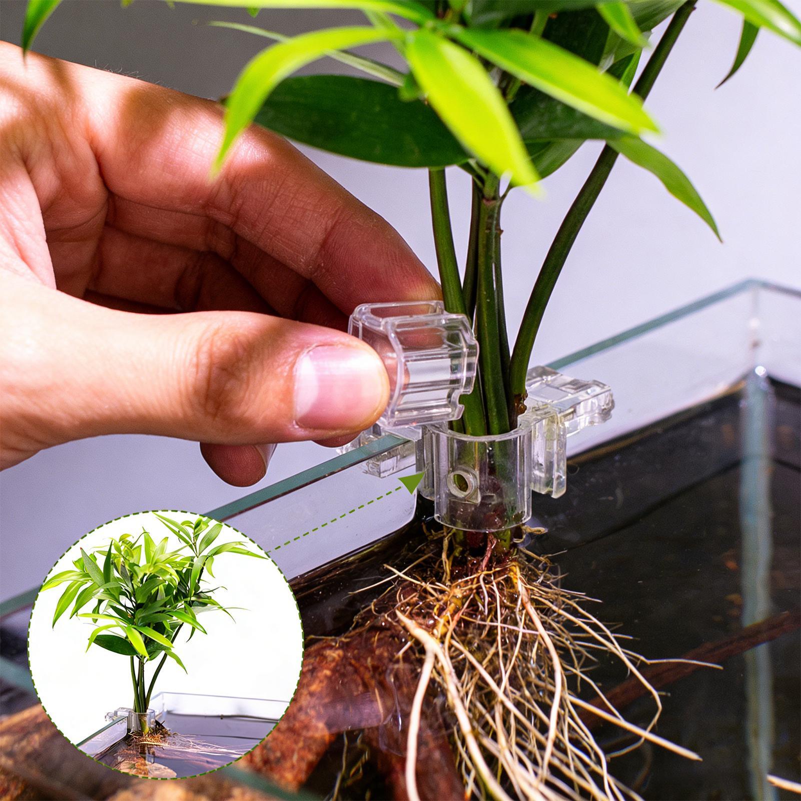 Aquarium Plant Holder 6 Pieces - Marine Aquarium Hobby recensie en prijs