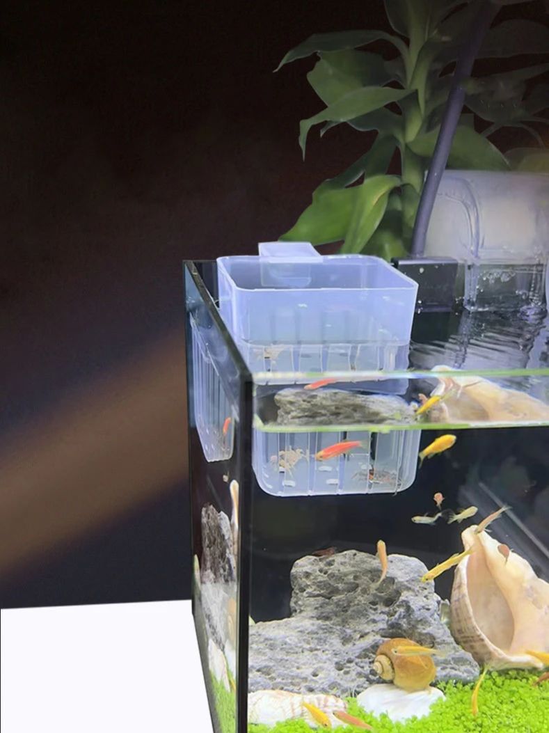 Aquarium Transparent Hydroponi - Marine Aquarium Hobby recensie en prijs