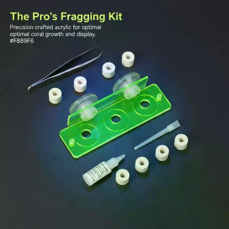 1Pcs Coral Rack Marine Reef St - Coral Frag Plug recensie en prijs