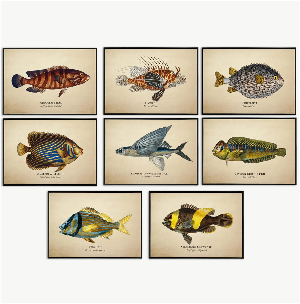 Vintage Pictures Tropical Fish - Marine Life Aquariums recensie en prijs
