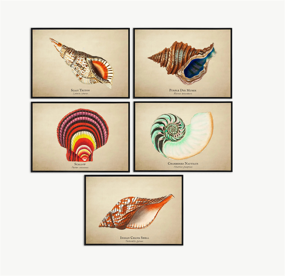 Vintage Pictures Tropical Fish - Marine Life Aquariums recensie en prijs