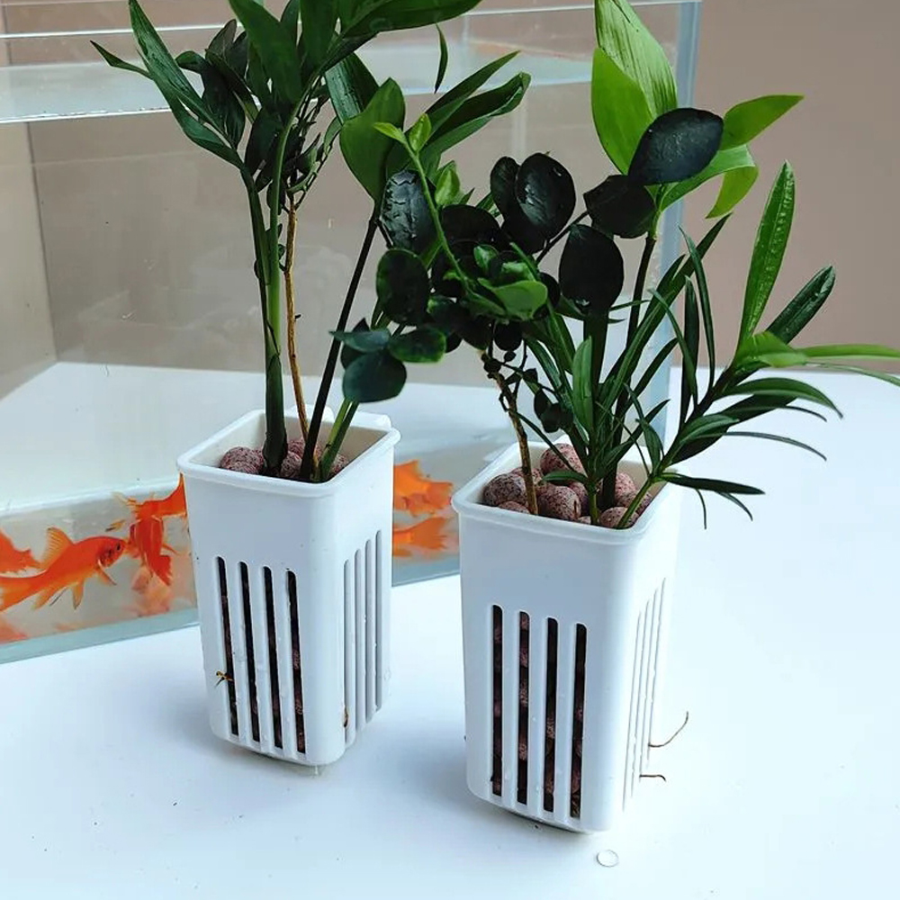 1 Pc Aquarium Hydroponic Plant - Marine Aquarium Hobby recensie en prijs