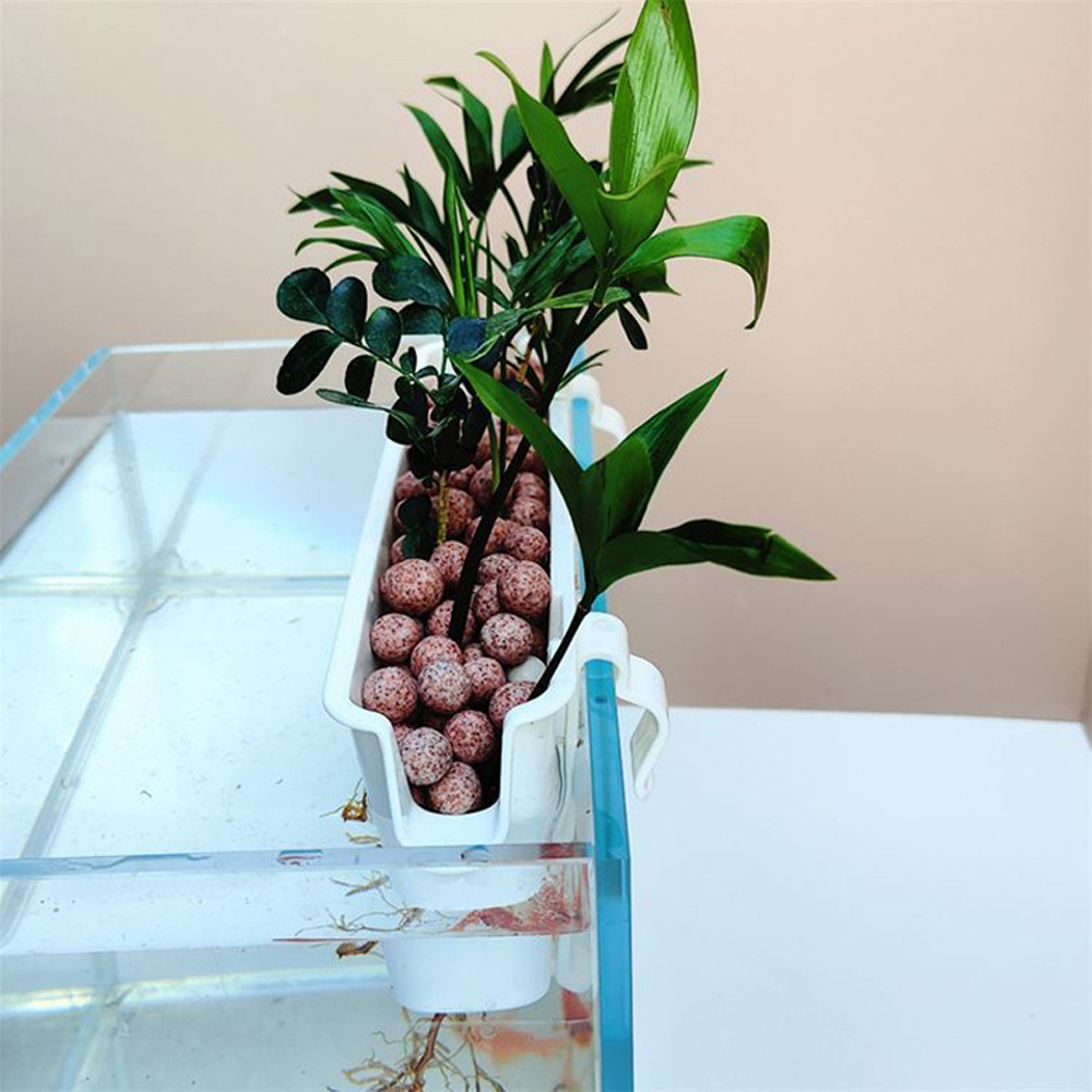1 Pc Aquarium Hydroponic Plant - Marine Aquarium Hobby recensie en prijs