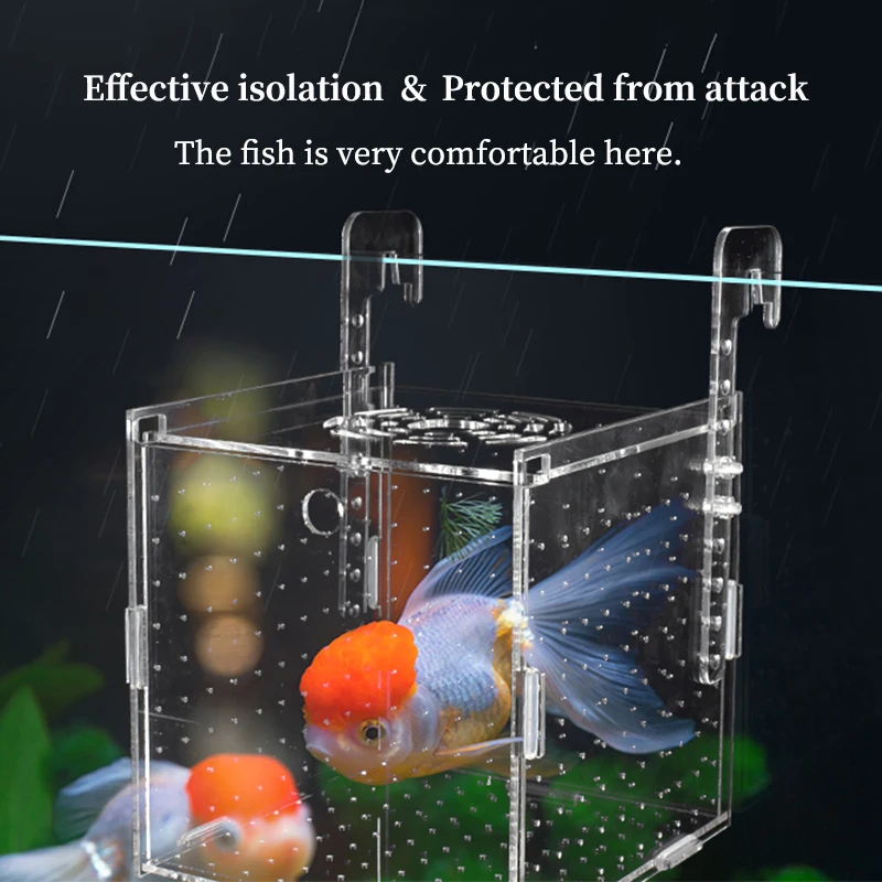 Fish Tank Small Fry Breeding B - Marine Aquarium Hobby recensie en prijs